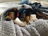 Winnie