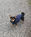 Winnie