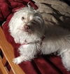 Sally Anne