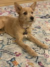 Zoe