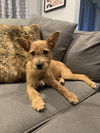 Zoe
