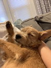 Zoe