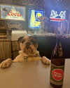 Seamus