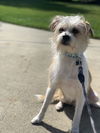 Sam
