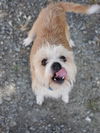 Sam