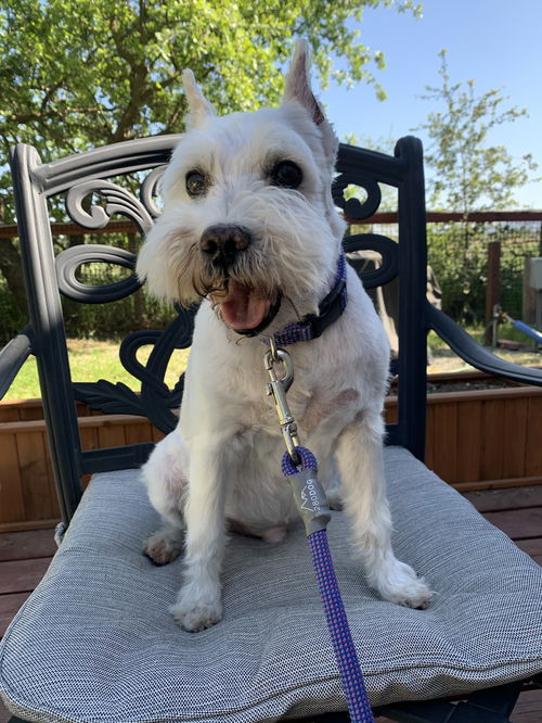 Roscoe