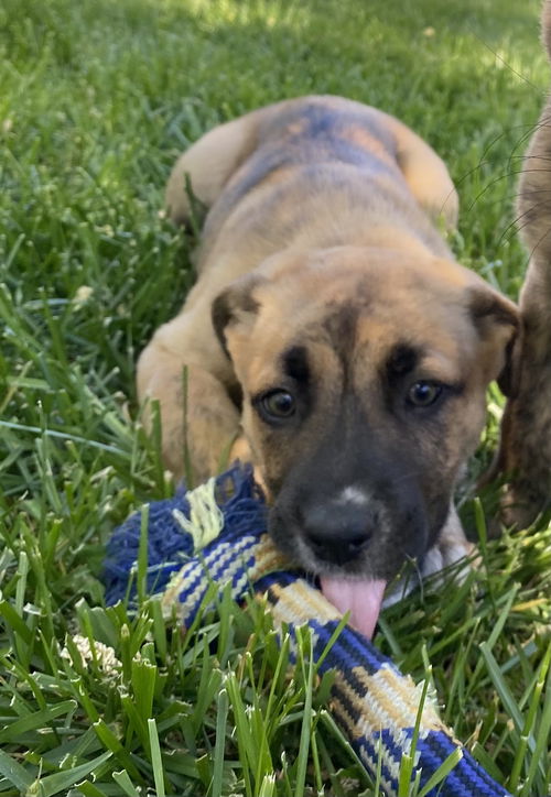 Andra Day - The Oscars Litter