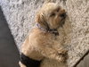 Tucker
