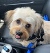 Tucker