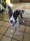 Sawyer