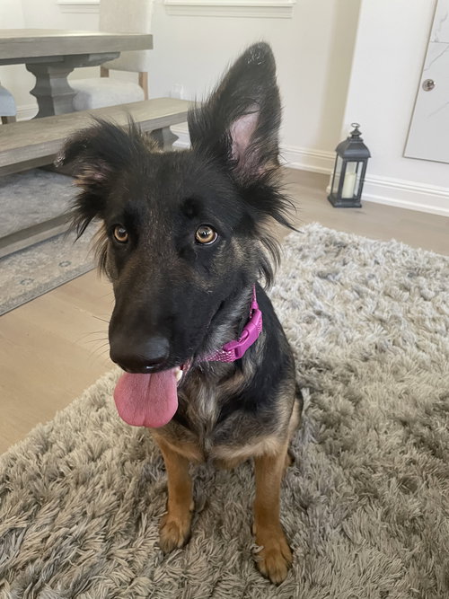Skye