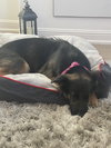 Skye