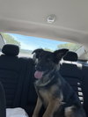 Skye