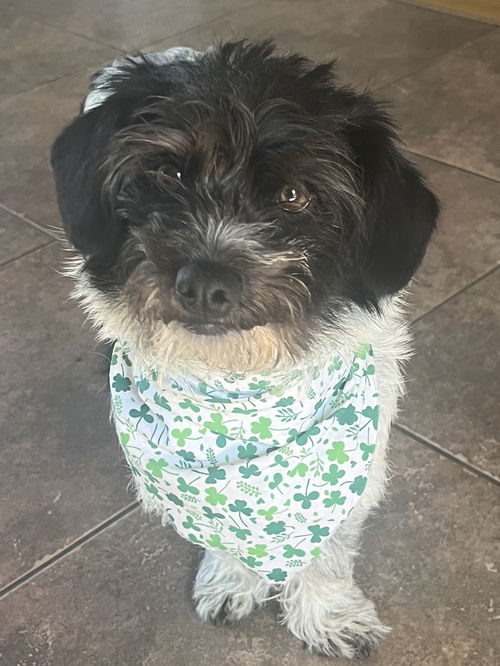 Samson