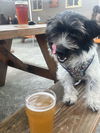 Samson