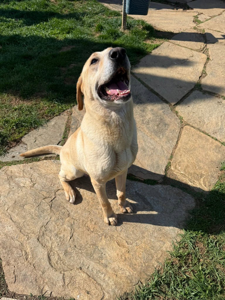 Cooper Image