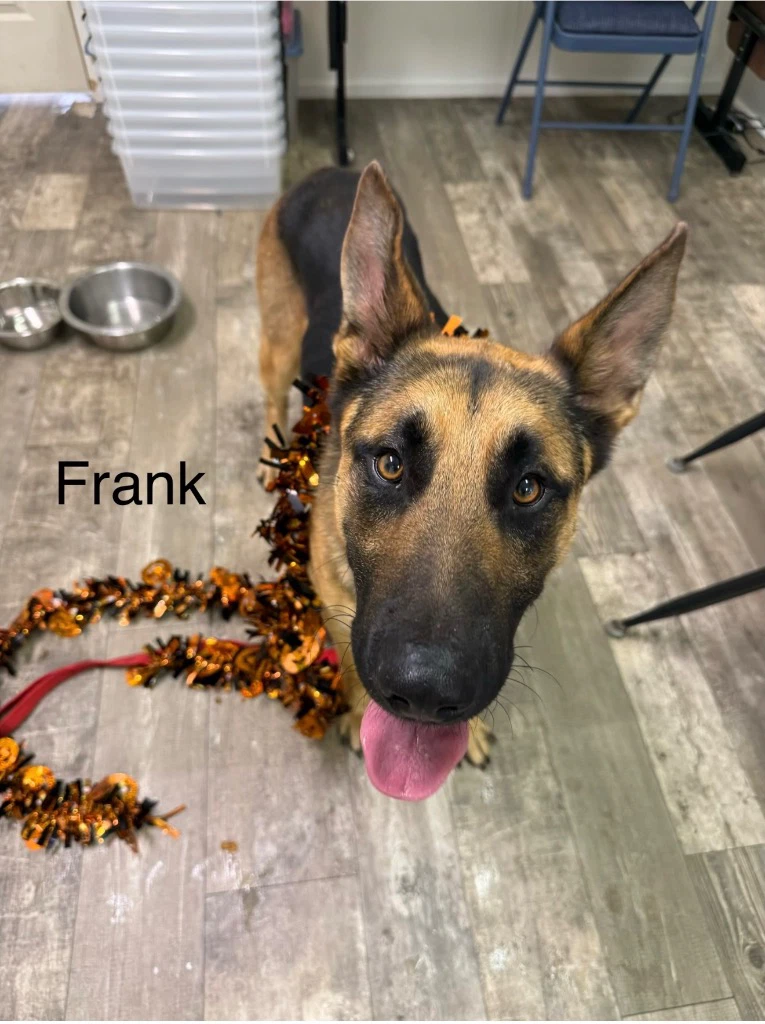 Frank