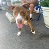 Bebe - Photo 5