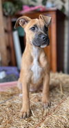 Sally - Photo 3