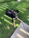 Cassie - Photo 2