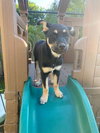 Cassie - Photo 3