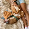Amber - Photo 2