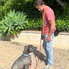 Scottie - Photo 4