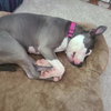 Peggy - Photo 5