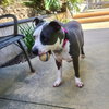Peggy - Photo 7