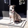 Peggy - Photo 1