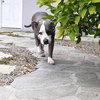 Peggy - Photo 9