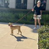 Trixie - Photo 6