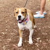 Millie - Photo 5