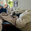 Benny - Photo 6