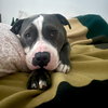 Benny - Photo 8