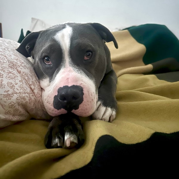 Benny