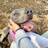 Gigi - Photo 6