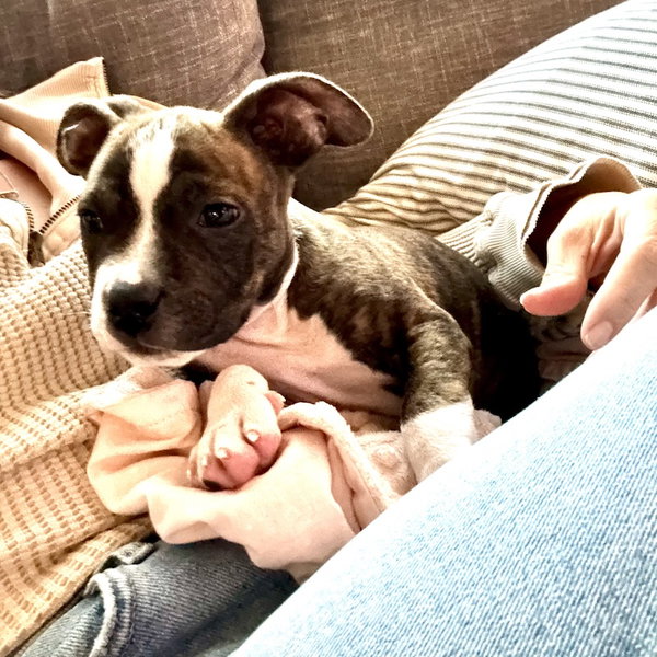 Benji