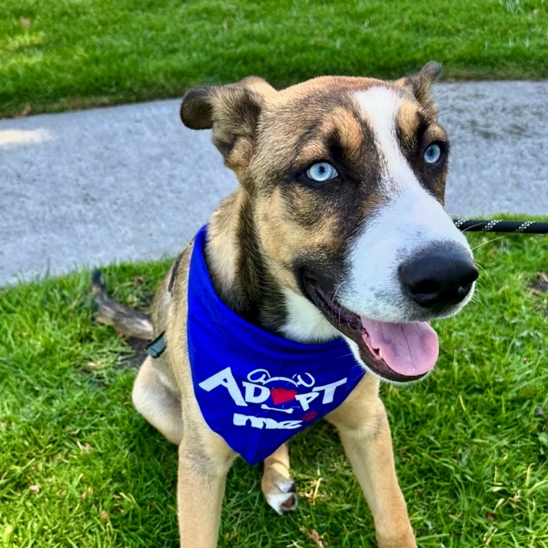 Milo