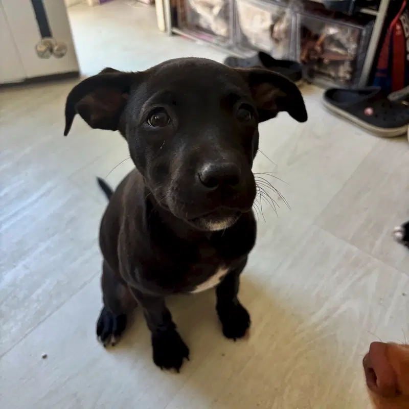 Janet image 2
