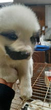 Zeus and Groucho Marks