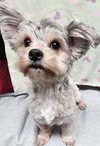 Winnie