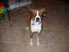 Rosie