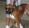 Ross(Roscoe)