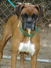 Roxy