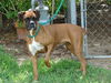 Roxy