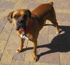 Ruby