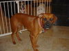 RUSTY