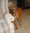 RUSTY