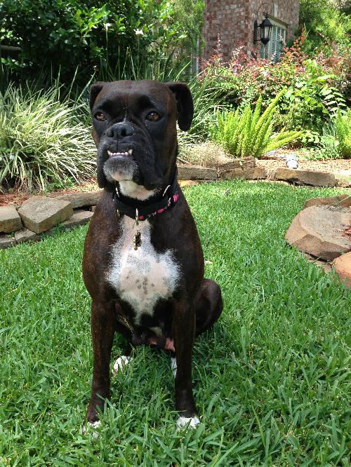 Roxy